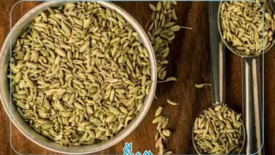 خواص-رازیانه