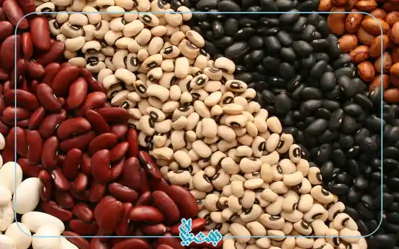 انواع لوبیا حاوی آنتی اکسیدان