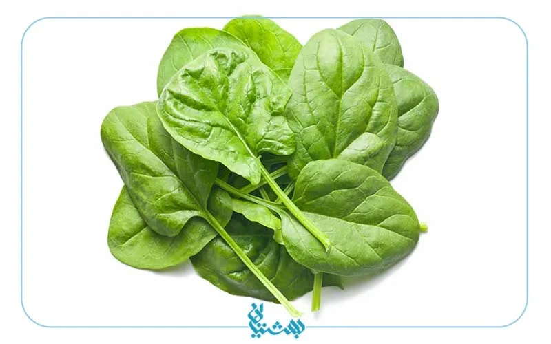 اسفناج منبع خوا آنتی اکسیدان