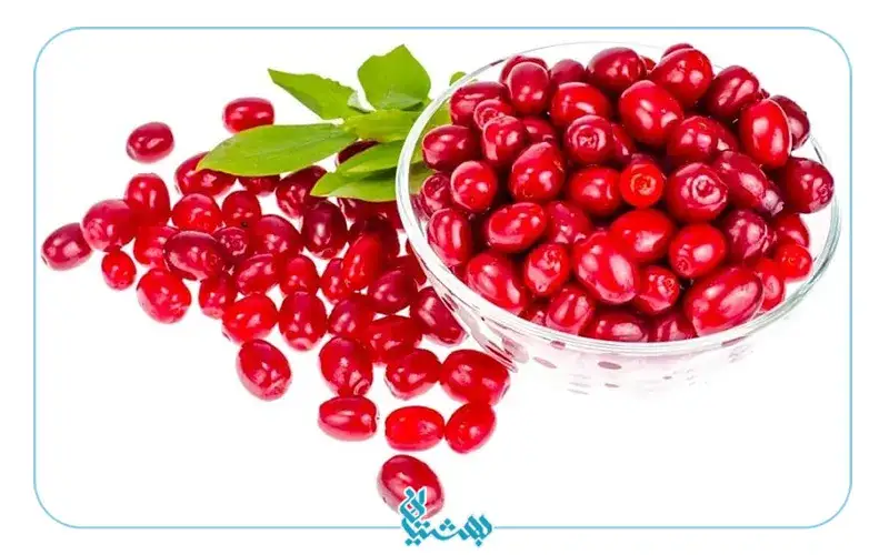 زغال اخته سرشار از آنتی اکسیدان