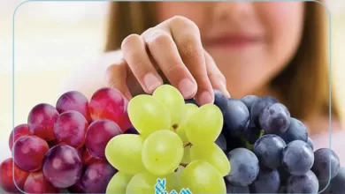 خواص انگور