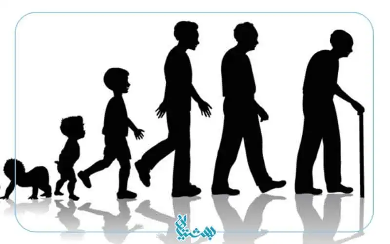 طول عمر از خواص چای سبز 