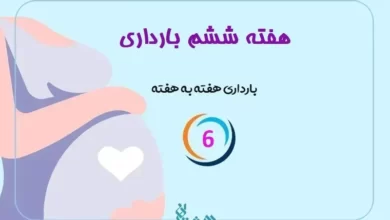 هفته ششم بارداری