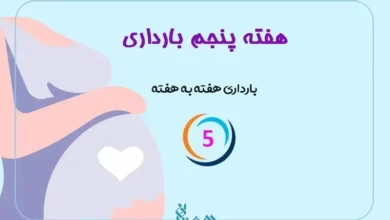 هفته پنجم بارداری