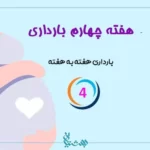 هفته چهارم بارداری