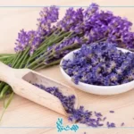 خواص اسطوخودوس