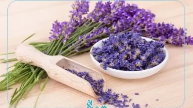 خواص اسطوخودوس