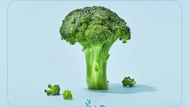 خواص کلم بروکلی