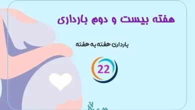 هفته بیست و دوم بارداری