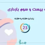 هفته بیست و سوم بارداری