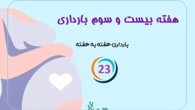 هفته بیست و سوم بارداری