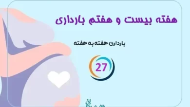 هفته بیست و هفتم بارداری