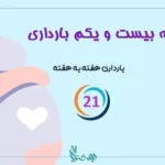هفته بیست و یکم بارداری