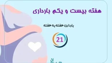 هفته بیست و یکم بارداری