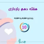 هفته دهم بارداری