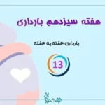 هفته سیزدهم بارداری