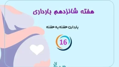 هفته شانزدهم بارداری