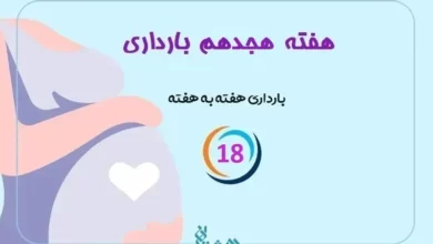هفته هجدهم بارداری