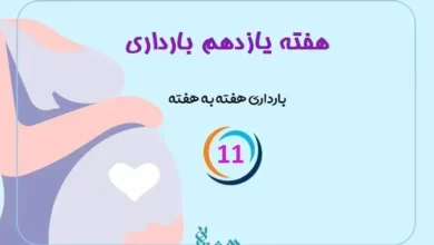 هفته یازدهم بارداری
