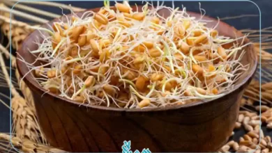 خواص جوانه گندم