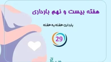 هفته بیست و نهم بارداری