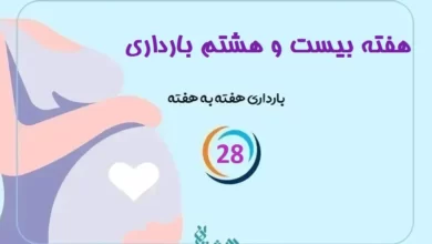هفته بیست و هشتم بارداری
