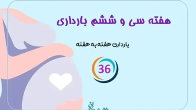 هفته سی و ششم بارداری