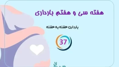 هفته سی و هفتم بارداری