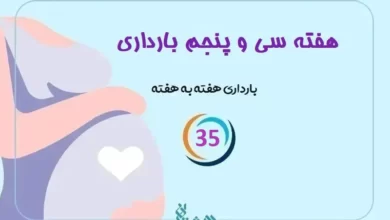 هفته سی و پنجم بارداری