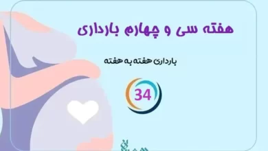 هفته سی و چهارم بارداری