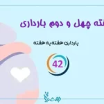 هفته 42 بارداری