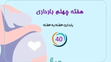 هفته چهلم بارداری