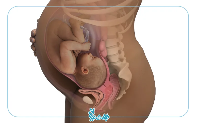 هفته چهلم بارداری و شکل اندام مادر