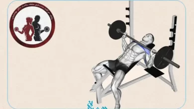 پرس بالا سینه هالتر