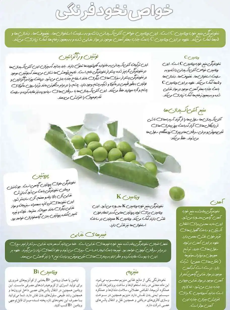 خواص نخود سبز