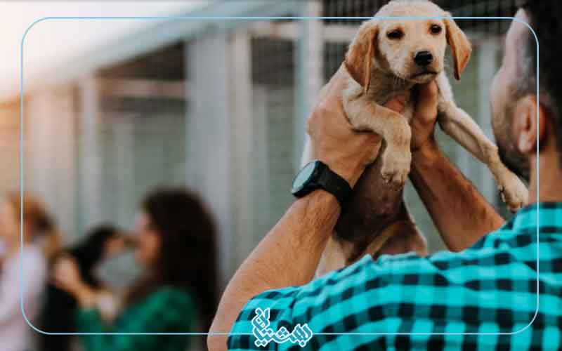 انگیزه در ورزش