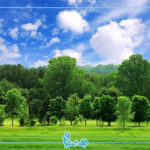 طبیعت