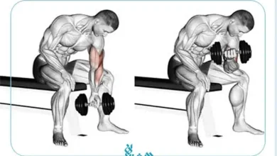 جلو بازو آرنولدی (تمرکزی)