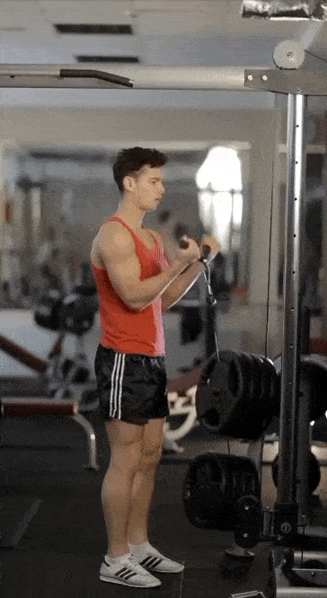 جلو بازو سیمکش