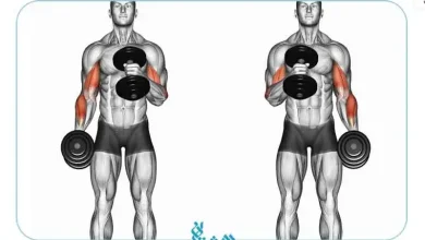 جلو بازو چکشی دمبل